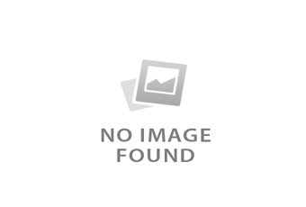 BAO VỢT BÓNG BÀN