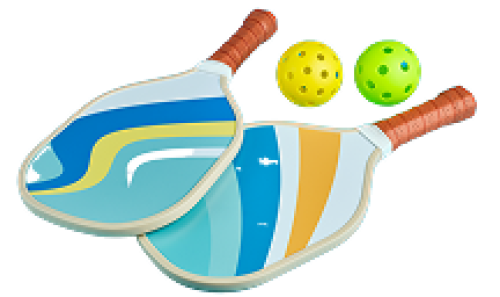 Phụ Kiện Pickleball 