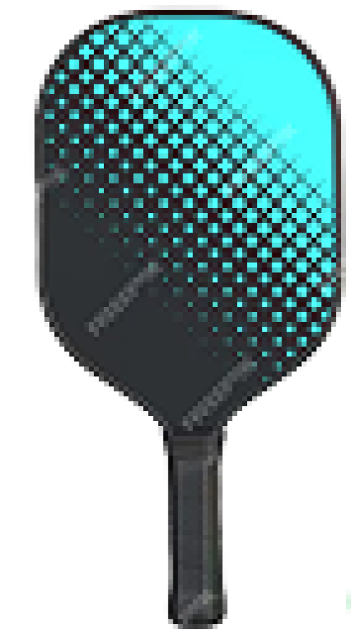 Vợt Pickleball