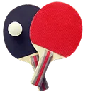 Danh mục sản phẩm Cốt Vợt Bóng Bàn