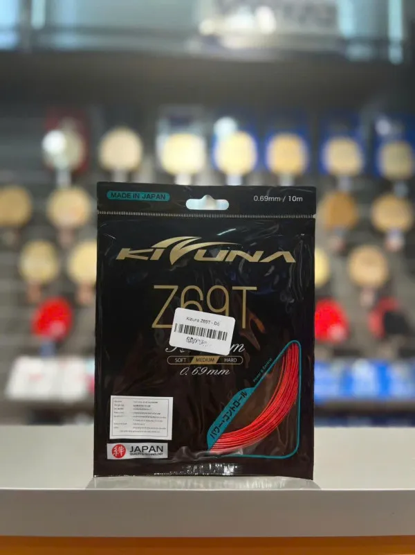 Kizuna Z69T